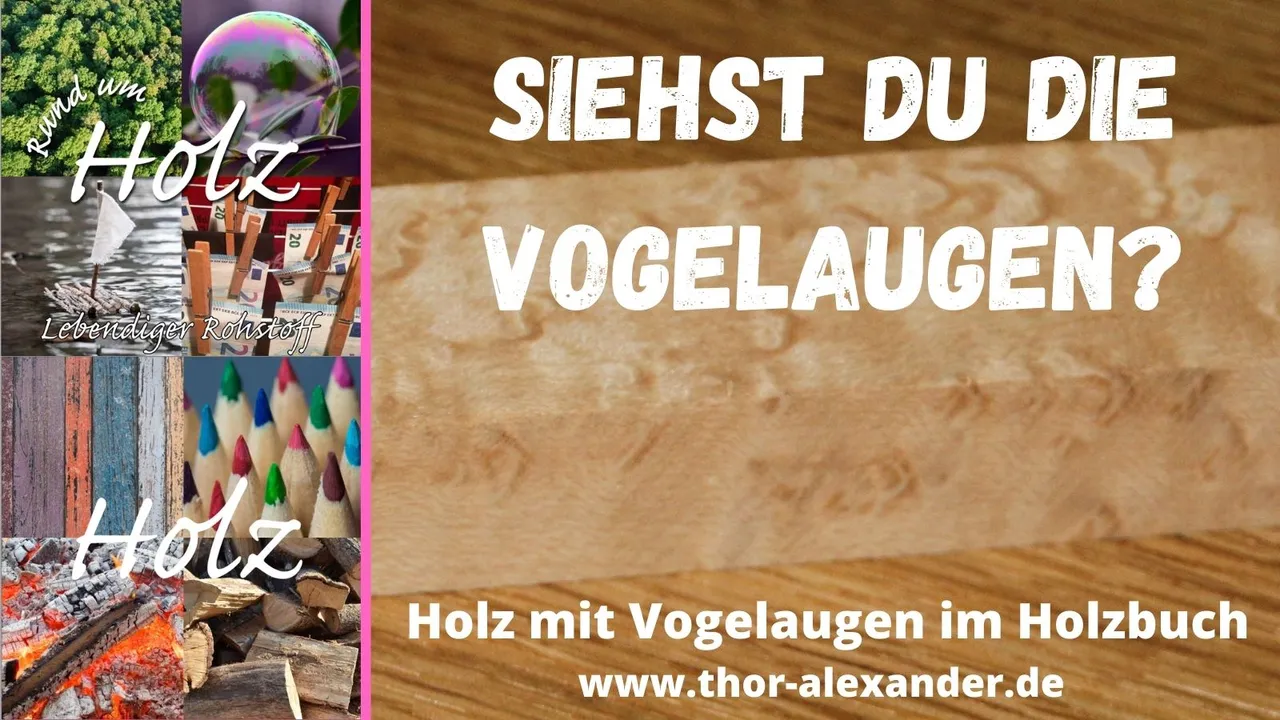 HZ Vogelaugenholz.jpg