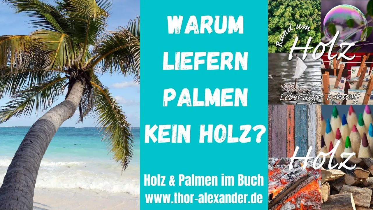 HZ Warum liefern Palmen kein Holz.jpg