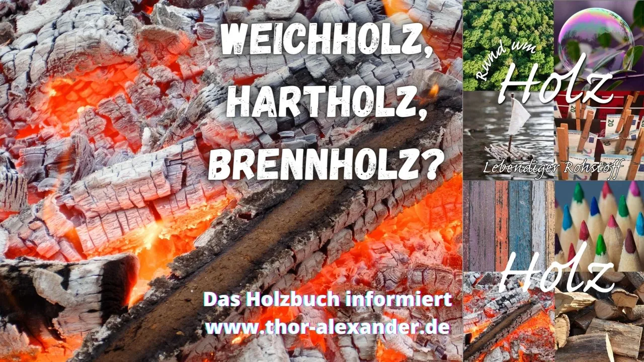 HZ Weichholz Hartholz Brennholz.jpg