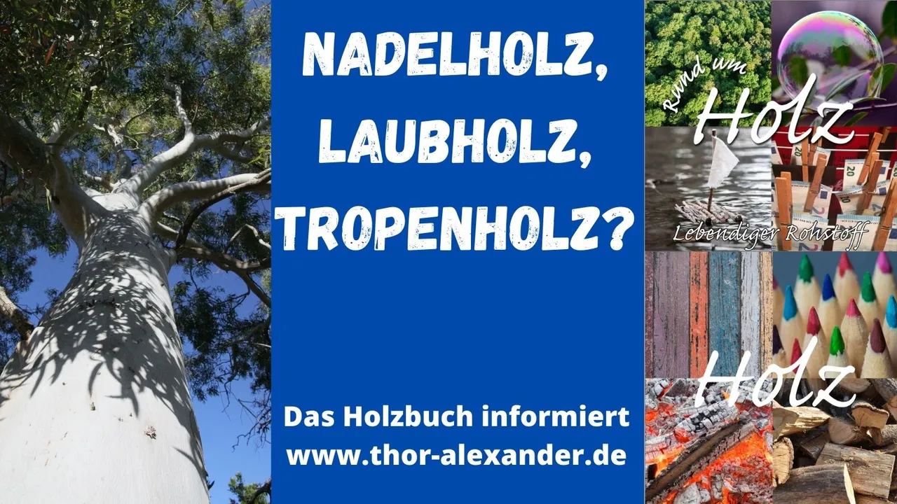 HZ Nadelholz Laubholz Tropenholz.jpg