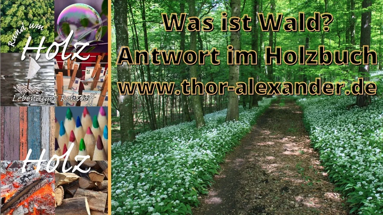 HZ Was ist Wald.jpg