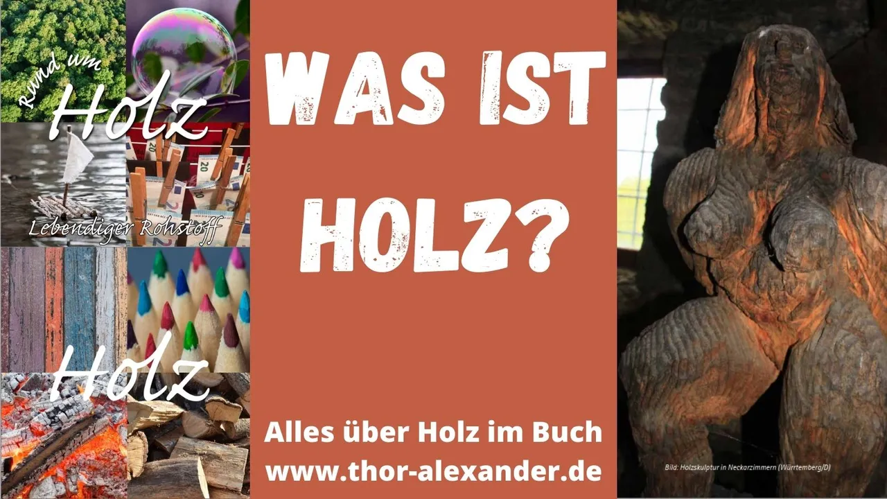 HZ Was ist Holz.jpg