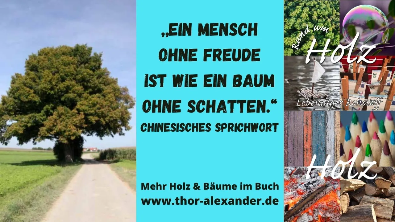 HZ Mensch ohne Freude.jpg