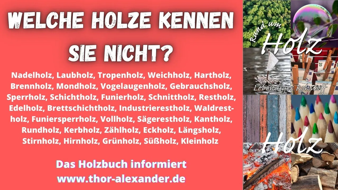 HZ Welche Holze kennen Sie nicht.jpg