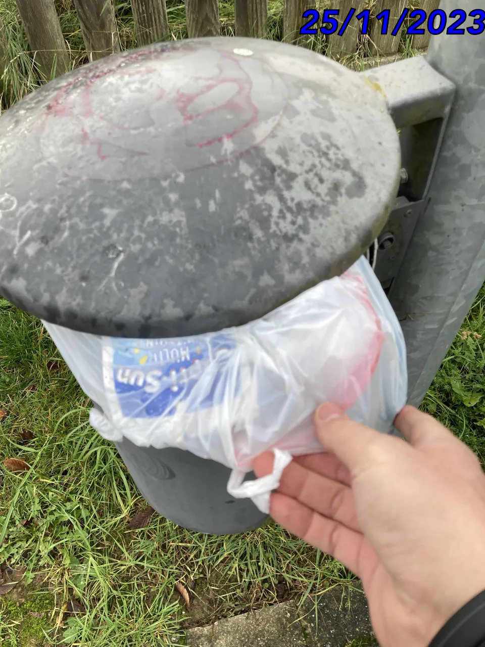 TC_00331.jpeg