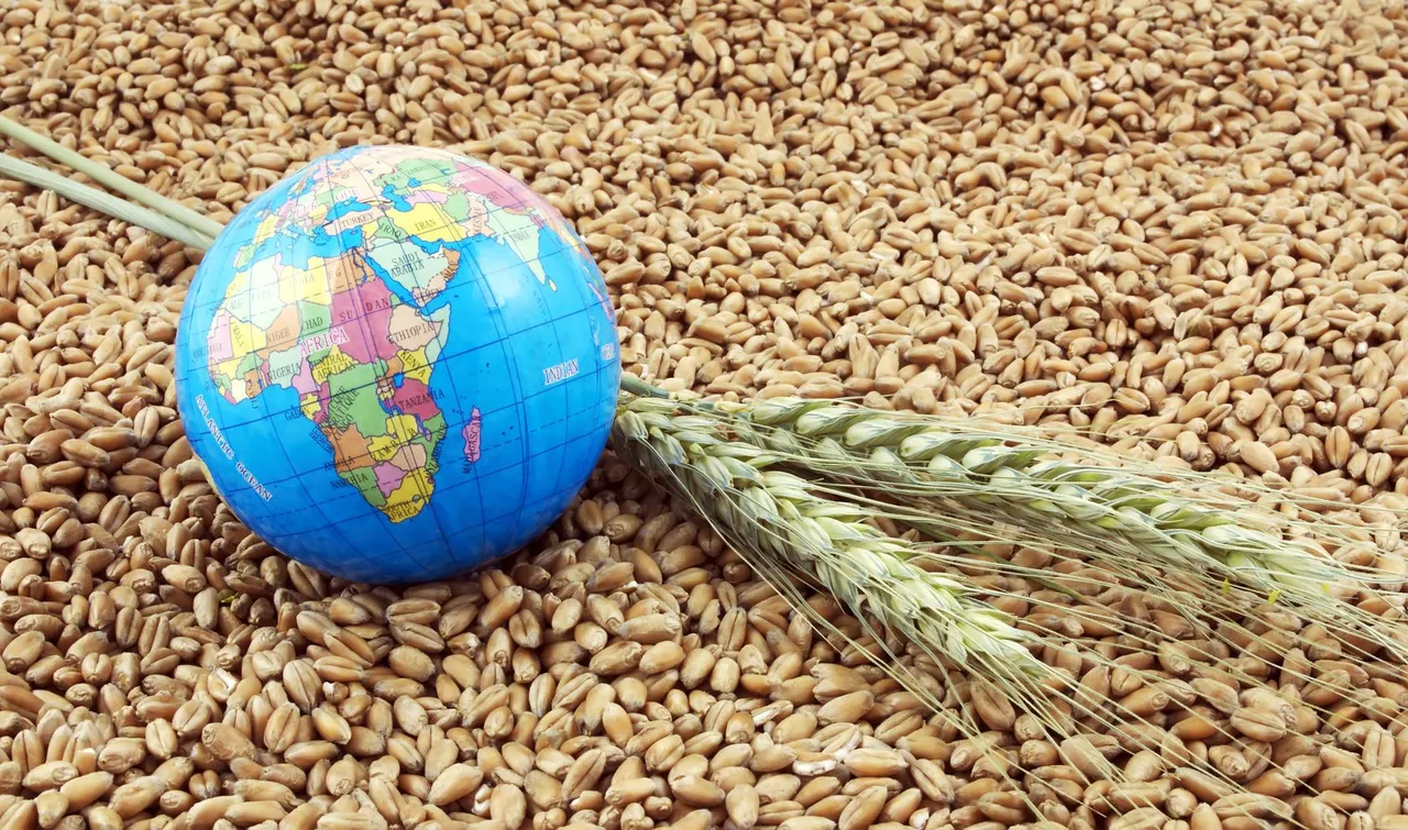 Photo Source - agronews.ua