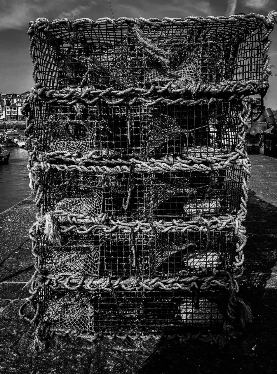 4866B3A3-AEB2-40ED-A206-471E1A6F6E17.jpeg