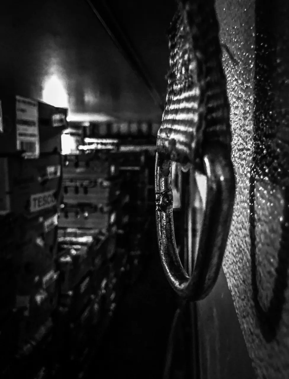E05FD209-166D-4966-A146-B26F32D14C23.jpeg