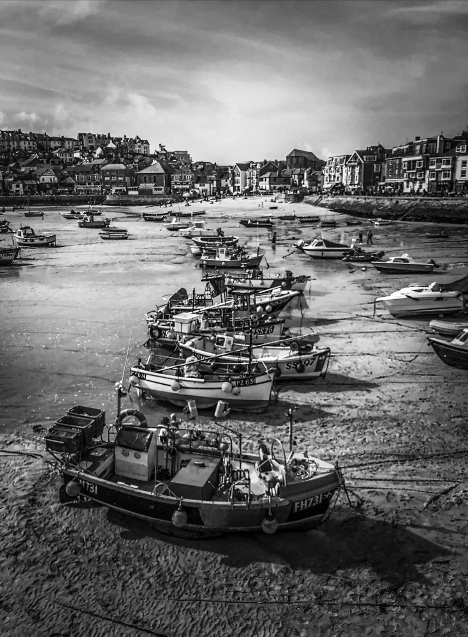 AA55683C-374F-41FE-86F5-719E9D69F6A4.jpeg