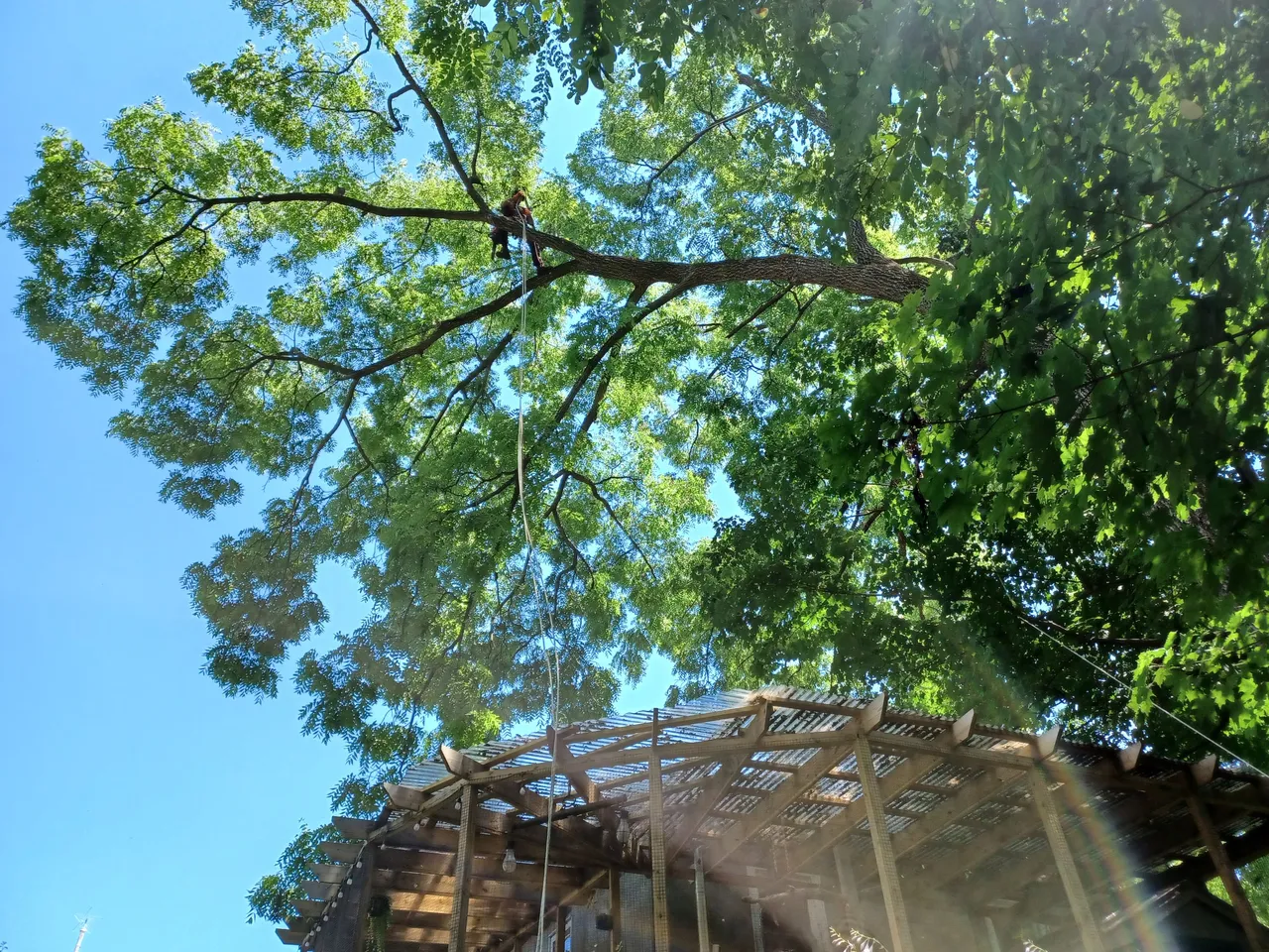 20220720_130510.jpg