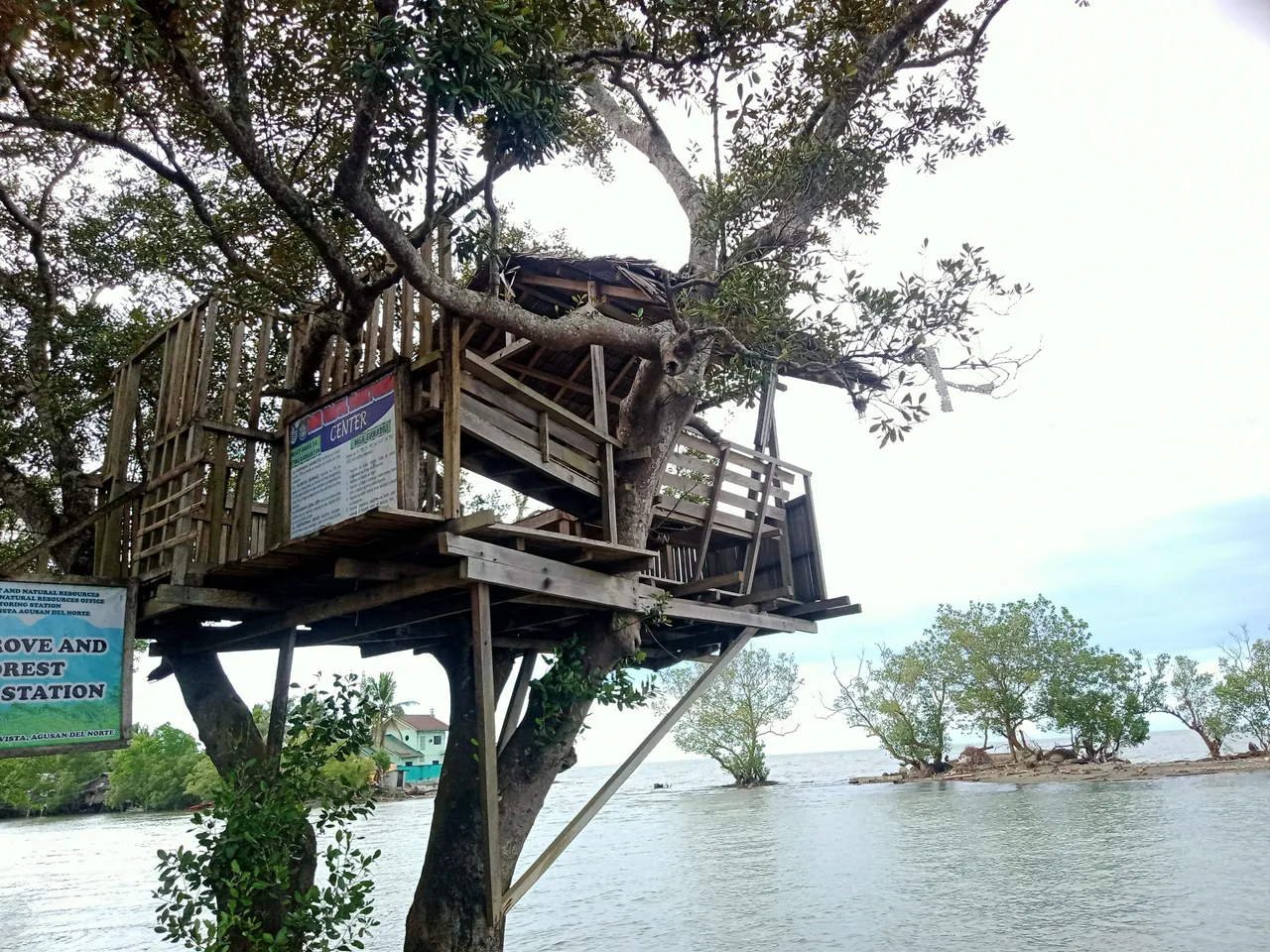 IMG20230115151840.jpg