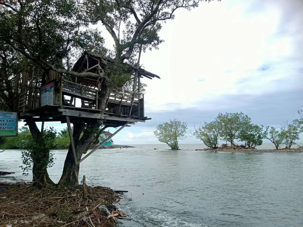 IMG20230115151846.jpg