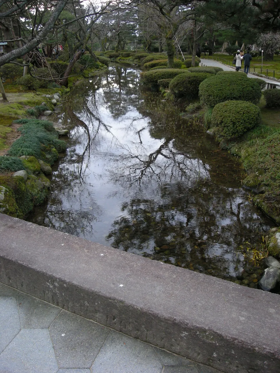 141-Hedge along river in Kenrouku-en.JPG