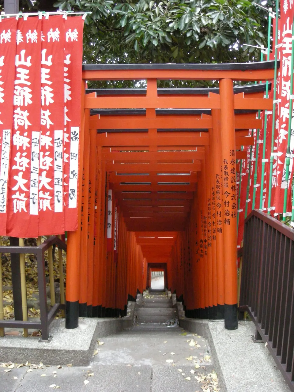 200-Hie-jinja torii tunnel - top-down.JPG