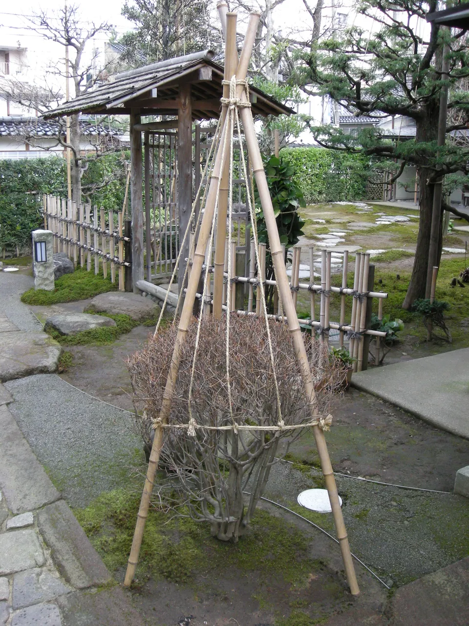 120-Typical Kanazawa snow protection.JPG