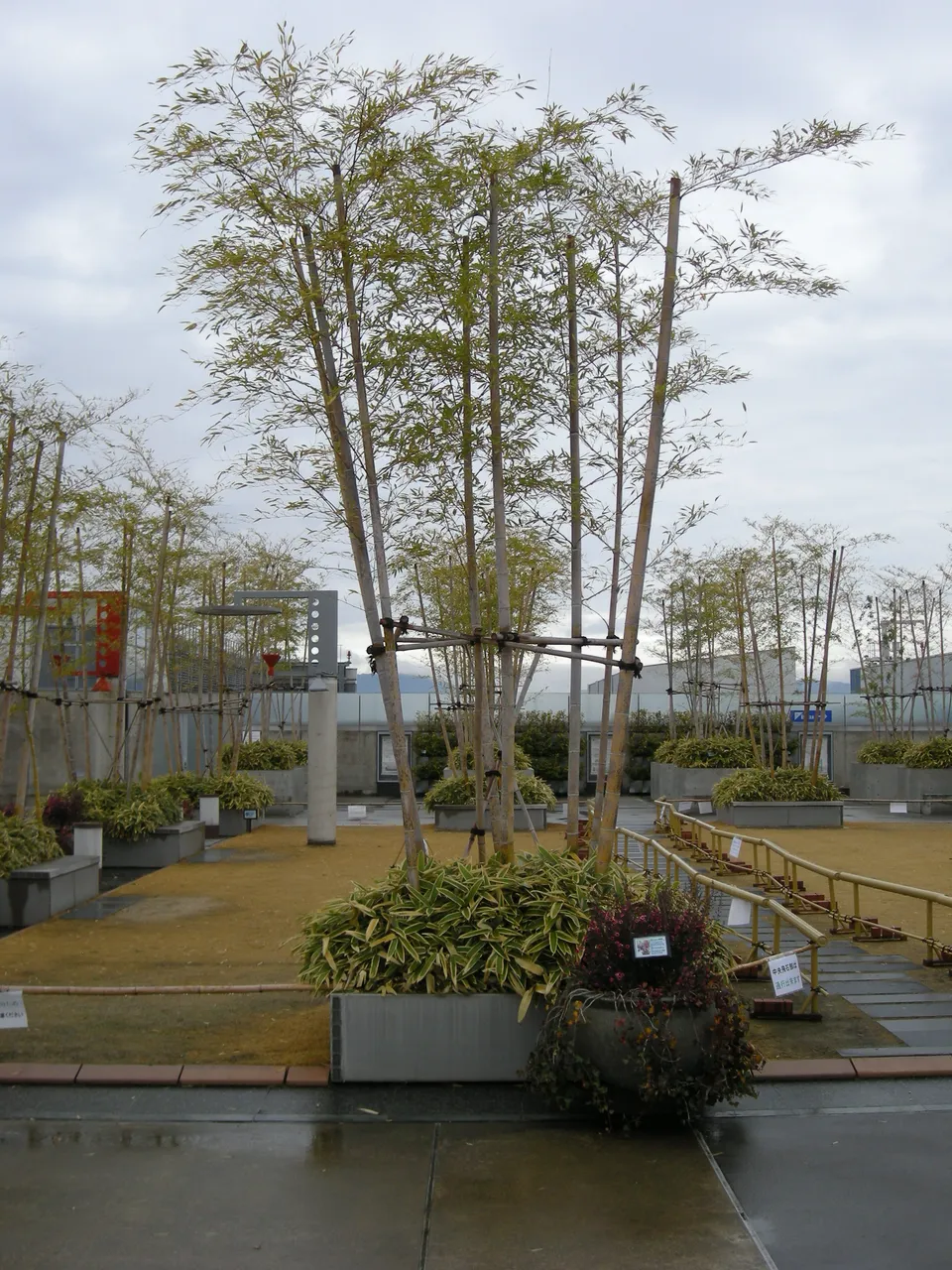 084-Kyoto Station Rooftop garden.JPG