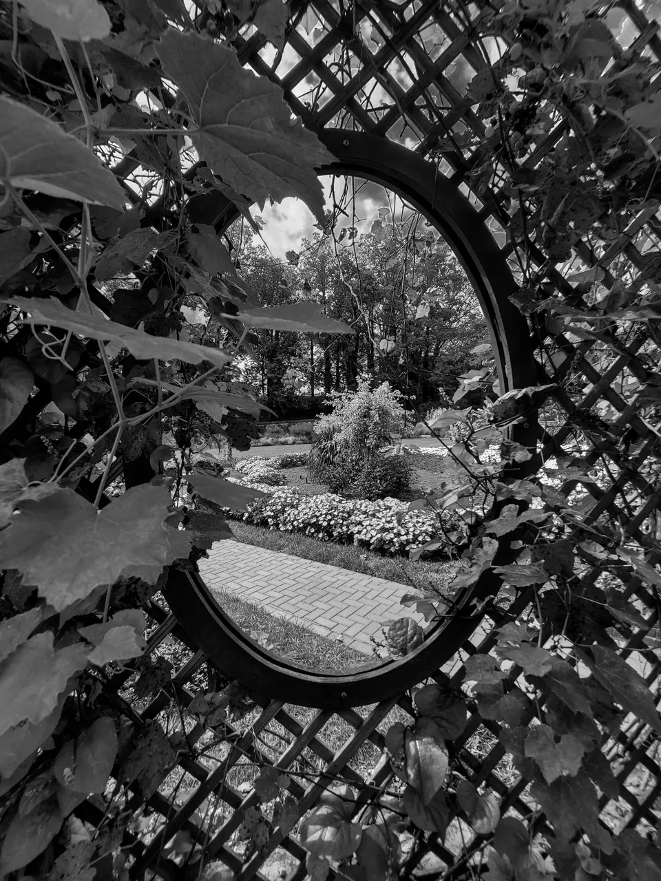 20220906_152738 (1).jpg