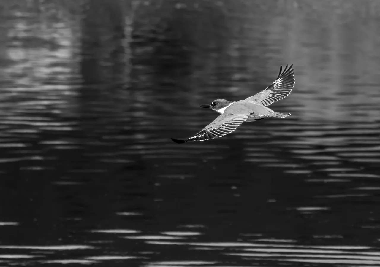 IMG_7189 (4).jpg
