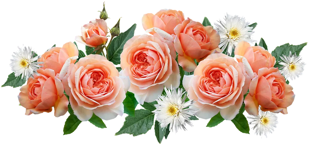 flowers-4946256__480.png