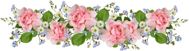 flowers-5339352_640.png