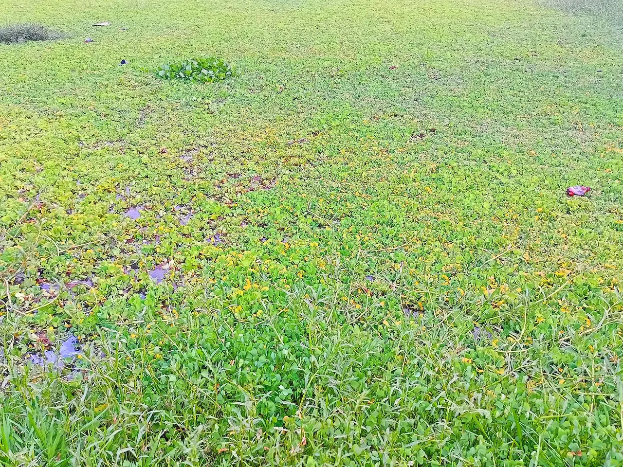 IMG20220826181732~2.jpg