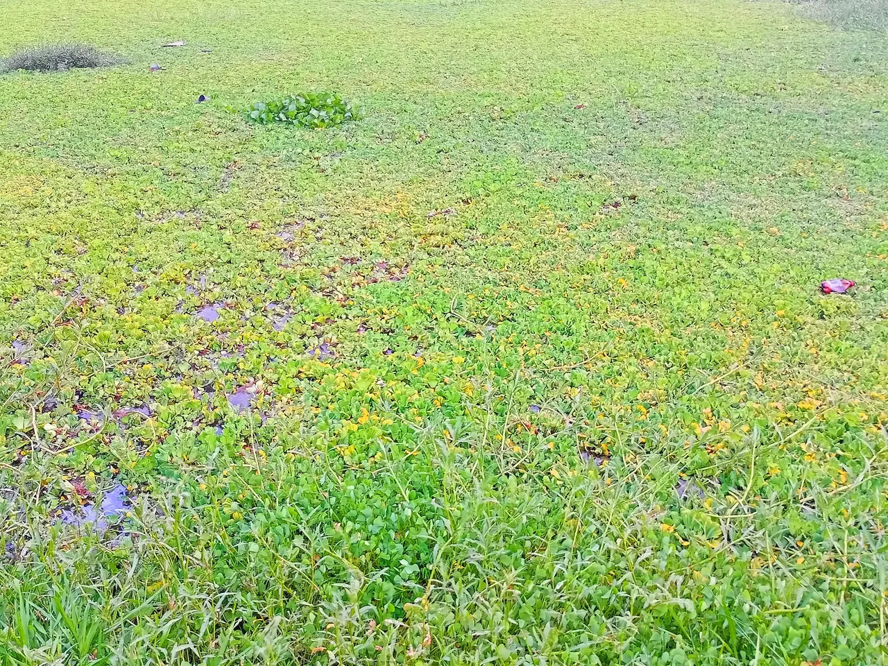 IMG20220826181726~2.jpg