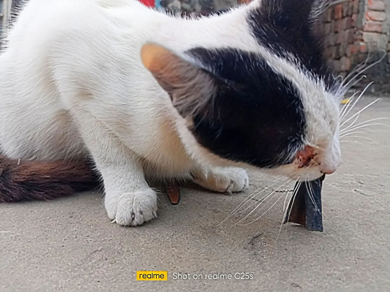 IMG20220212172731_01~2.jpg