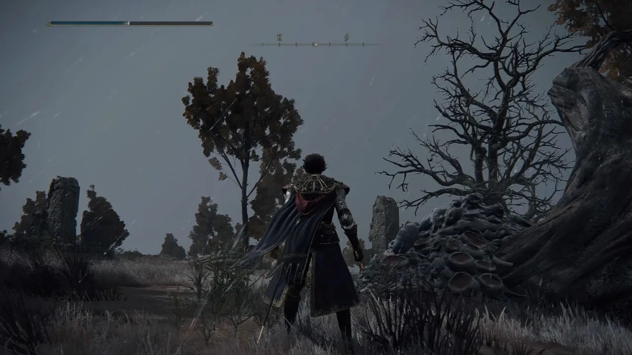 ELDEN RING™_20220831125227_1.jpg