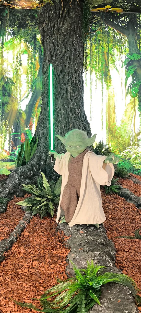 506282973_23928957933405382_6783973925655562021_n.jpg