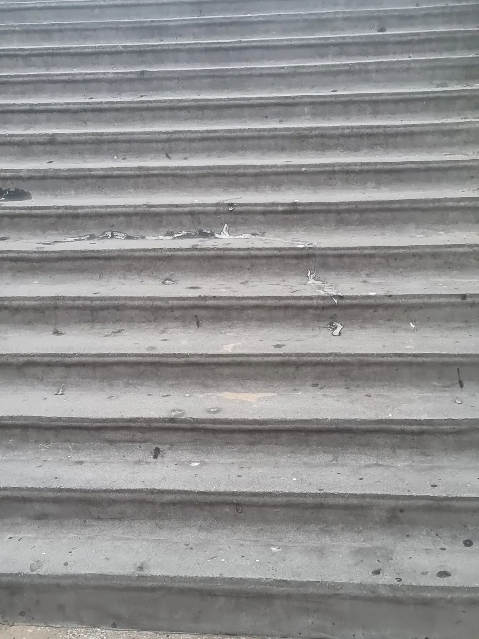 20230906_194826.jpg