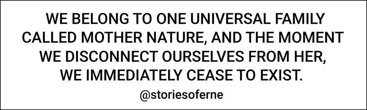 SOE HB AUTHOR - NATURE QUOTE.jpg