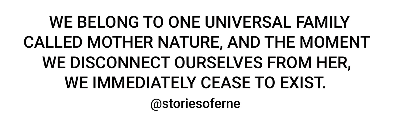 SOE HB AUTHOR - NATURE QUOTE.jpg