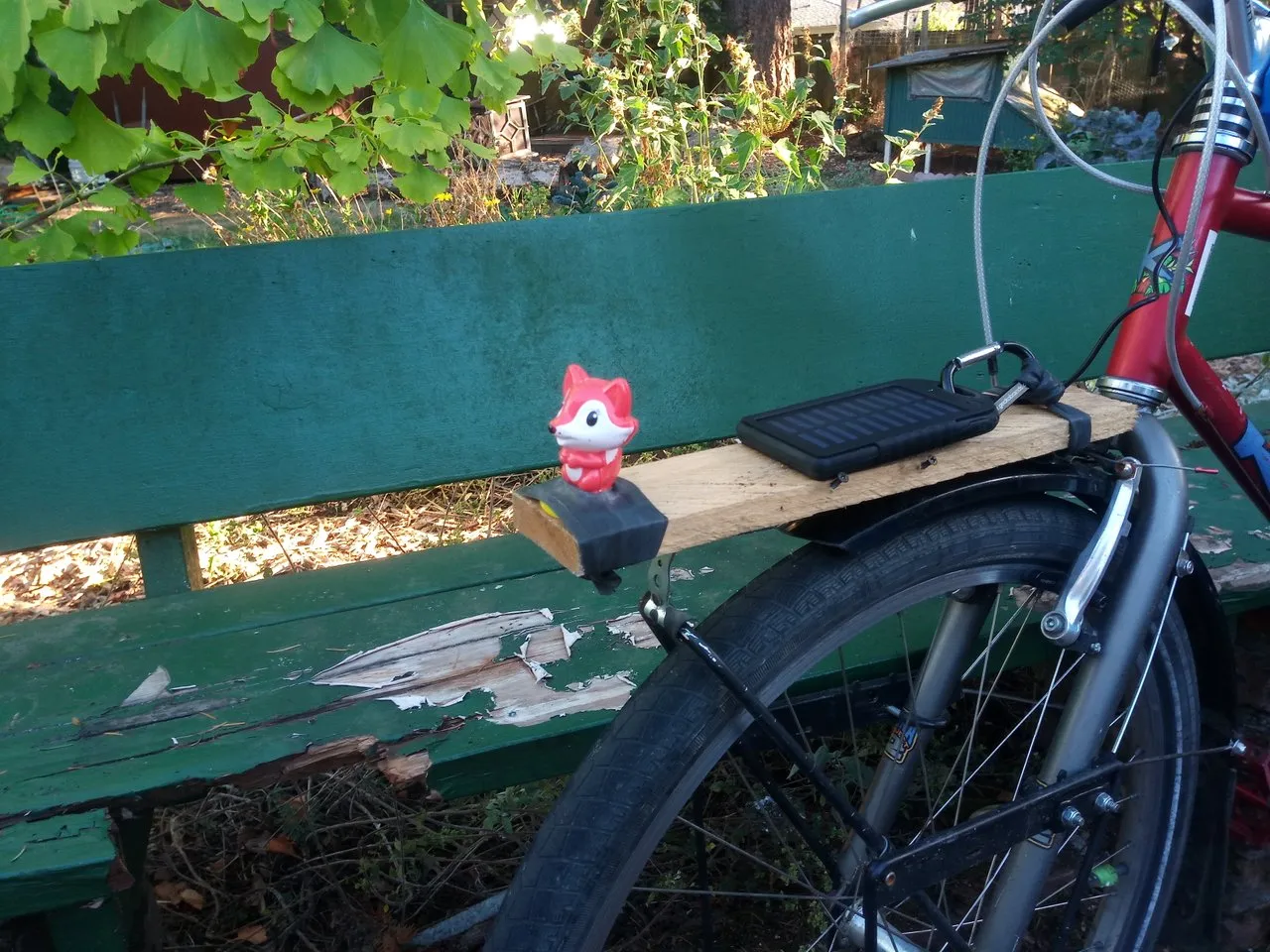 bike10.jpeg