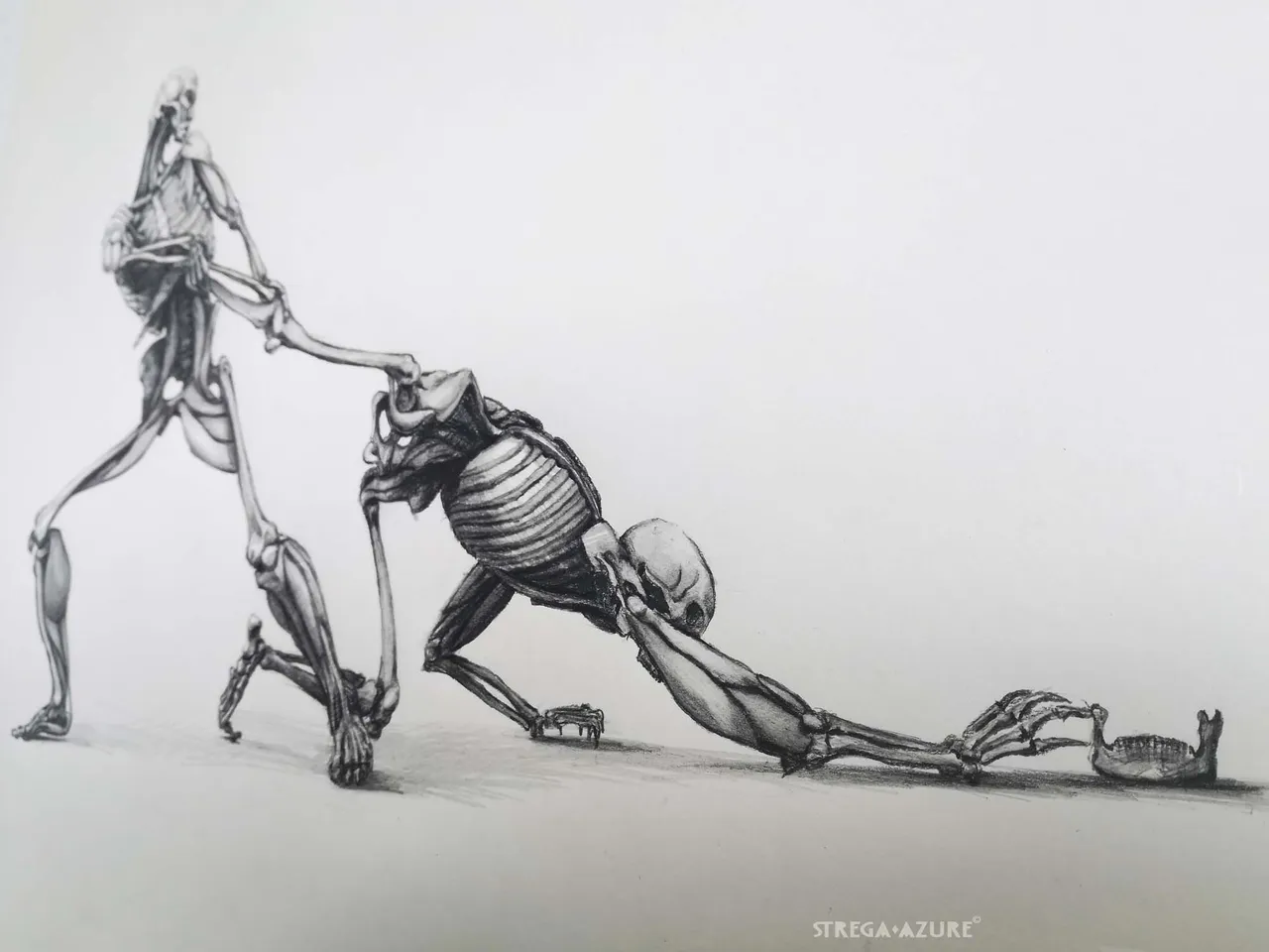 y.jpg