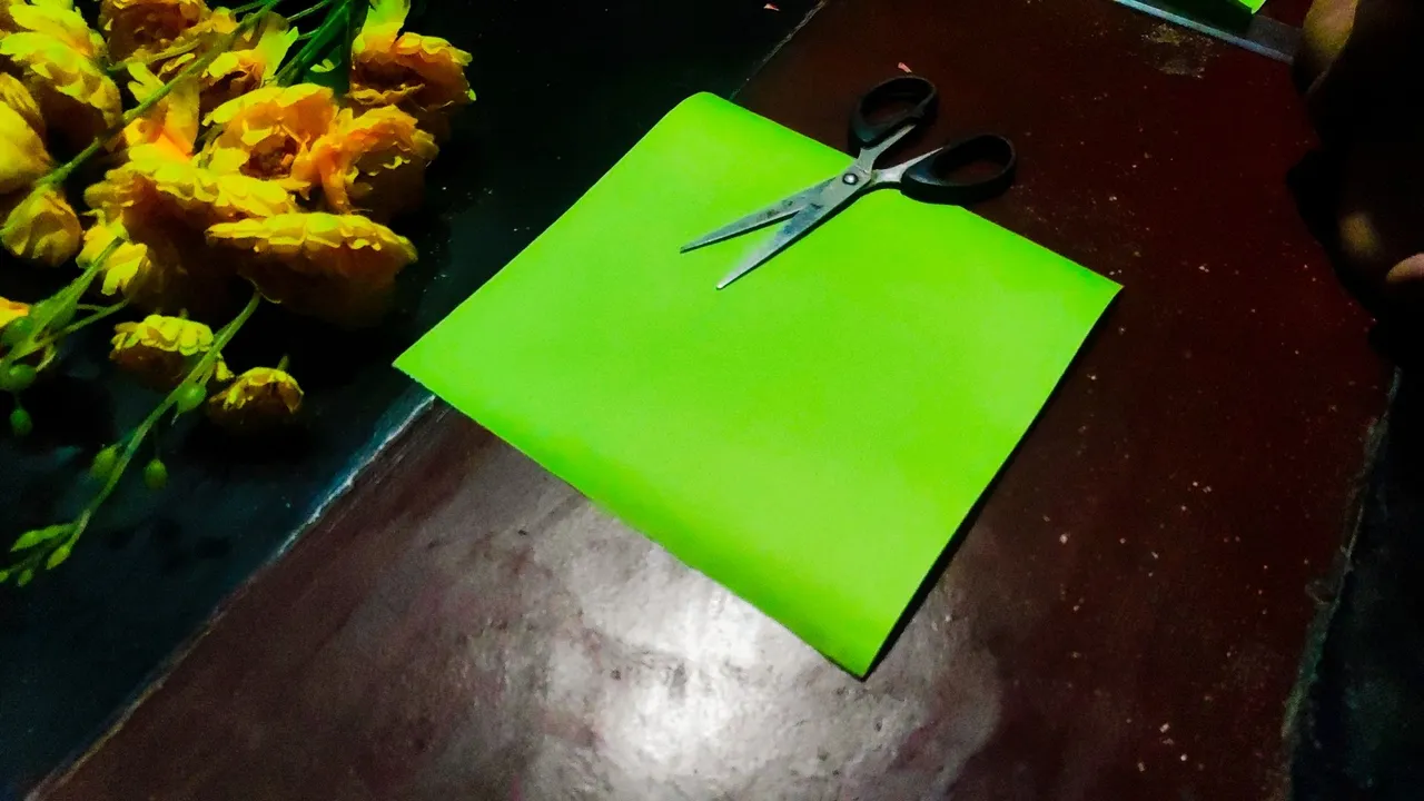 1000036961.jpg