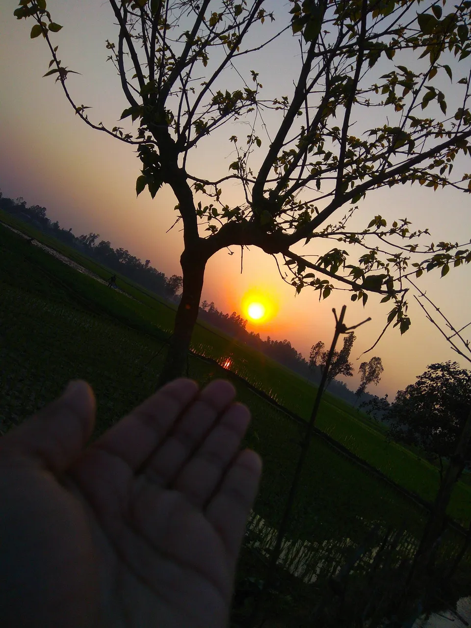 IMG_20210327_163248.jpg