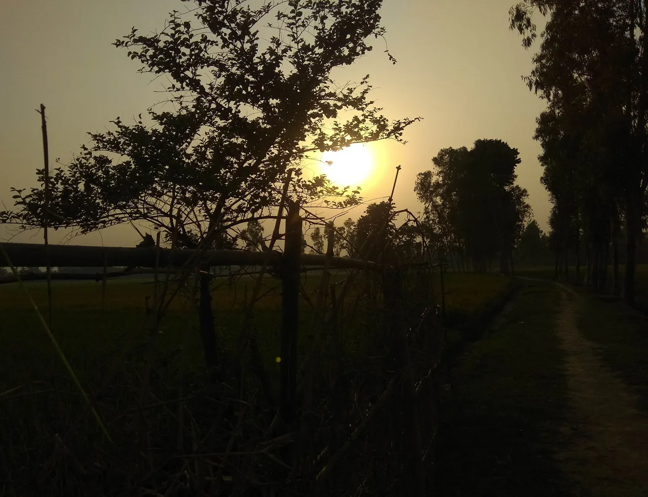 IMG_20210807_194013.jpg