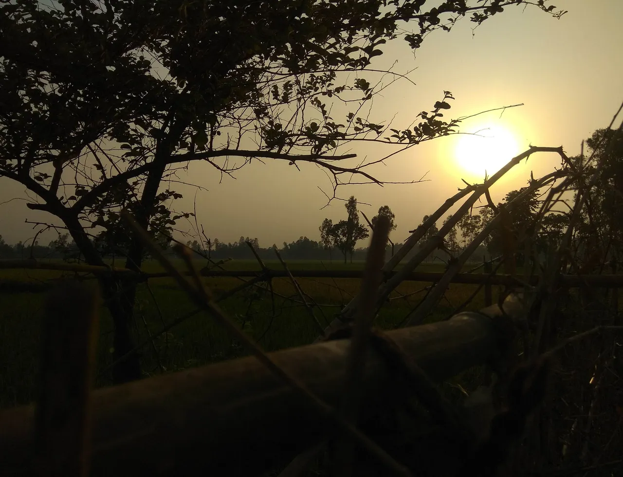 IMG_20210807_193942.jpg