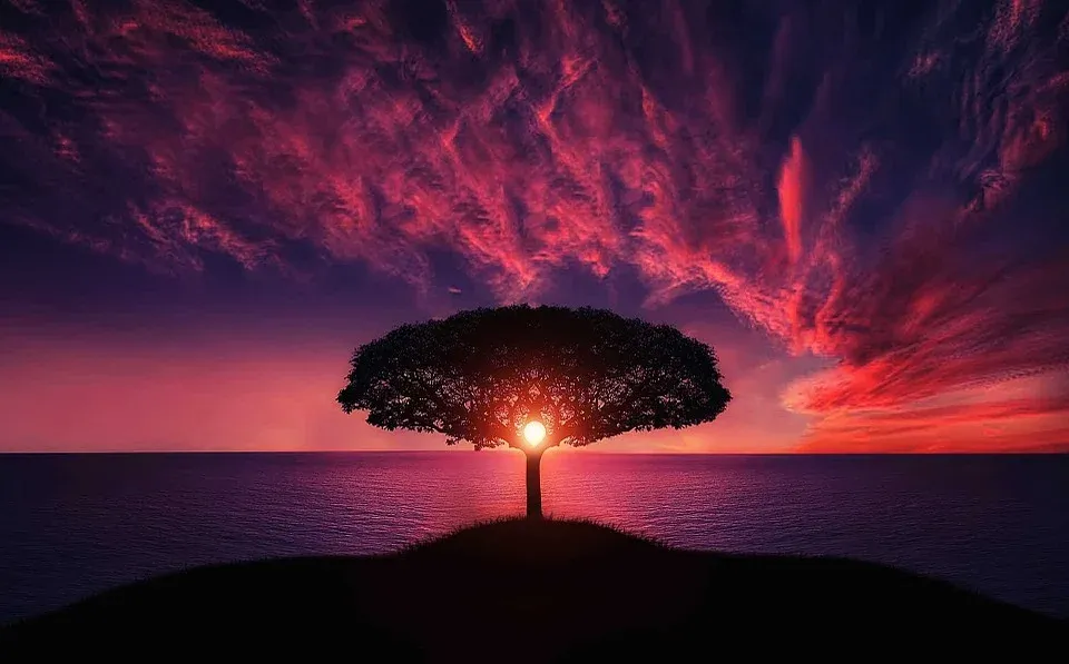 tree-736885_960_720.webp
