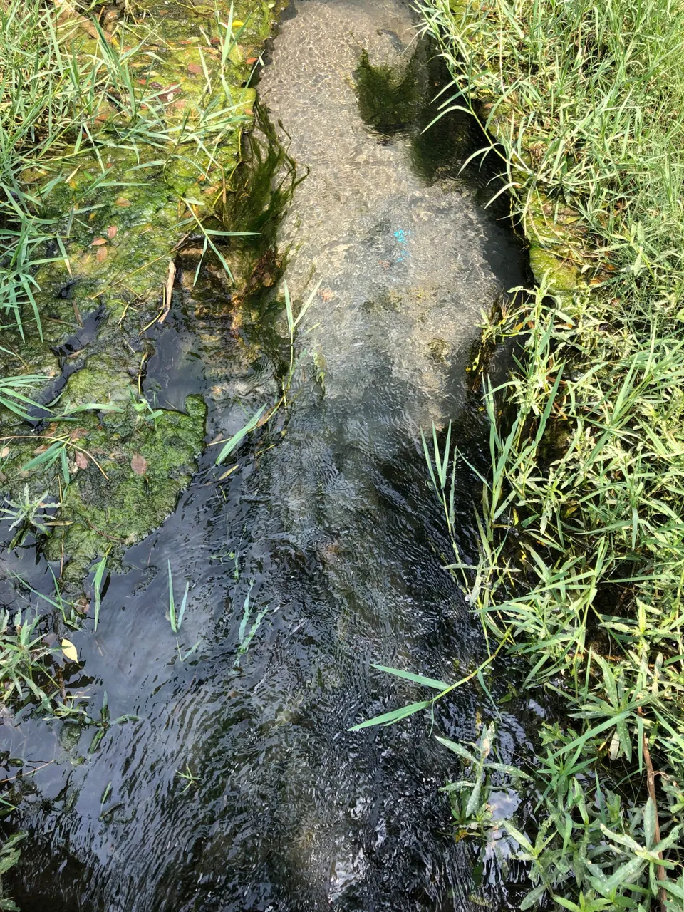 IMG_0405.jpeg