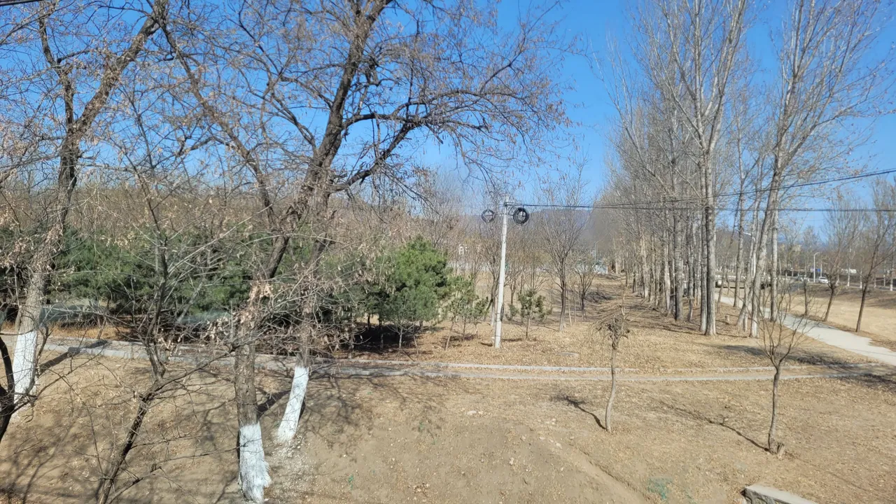 20240317_105052.jpg