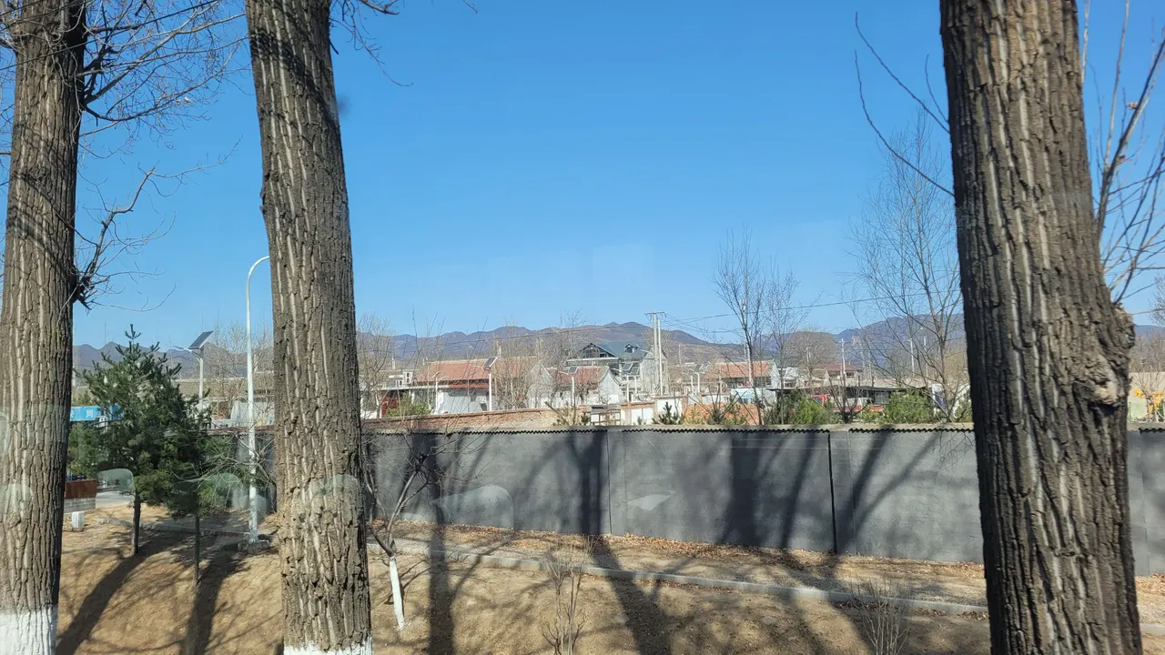 20240317_105101.jpg