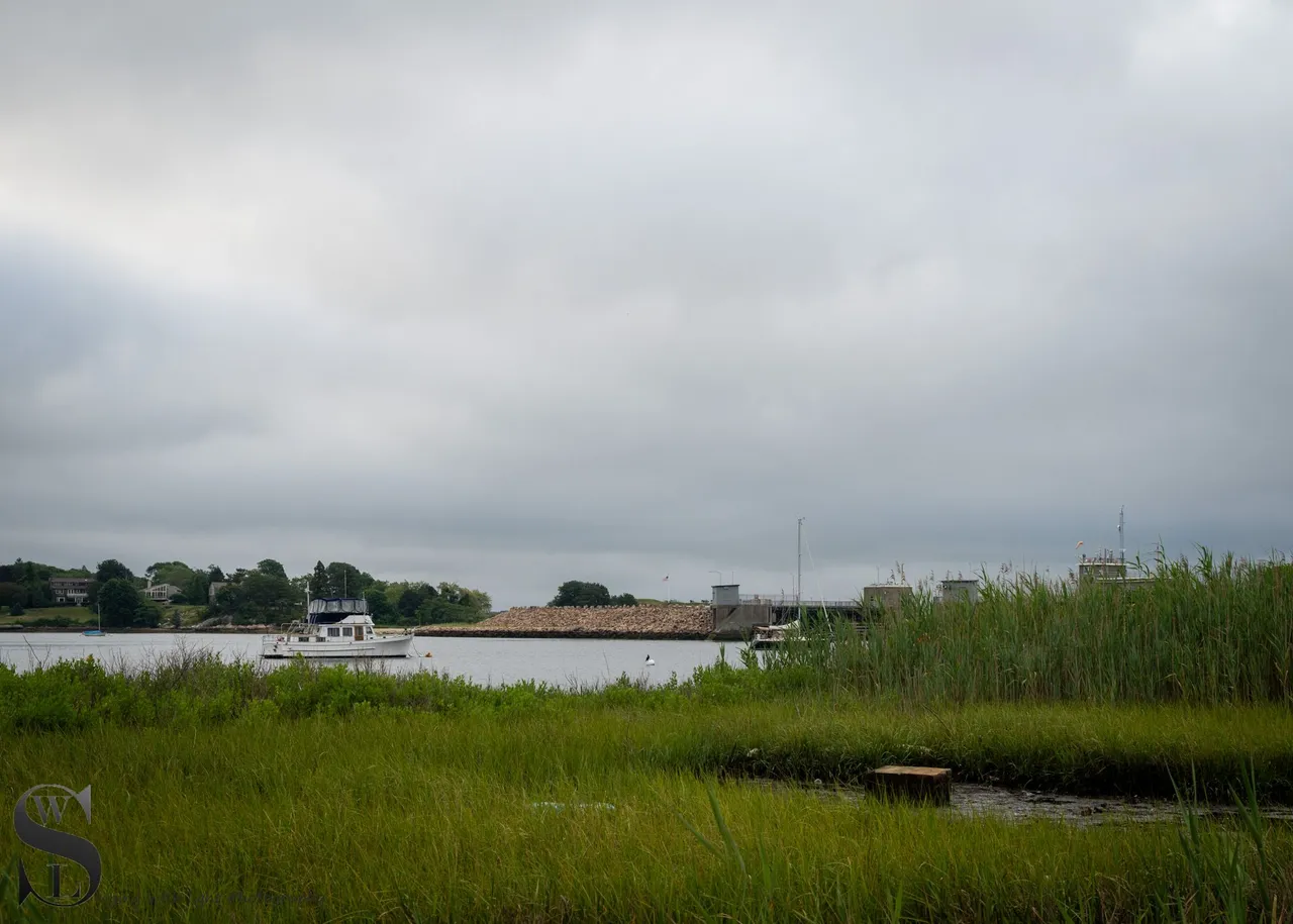 ww Out to Palmers Island-10.jpg