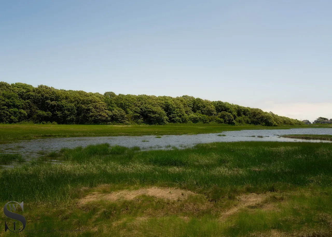 ww Winsegansett marshes the beach-8.jpg