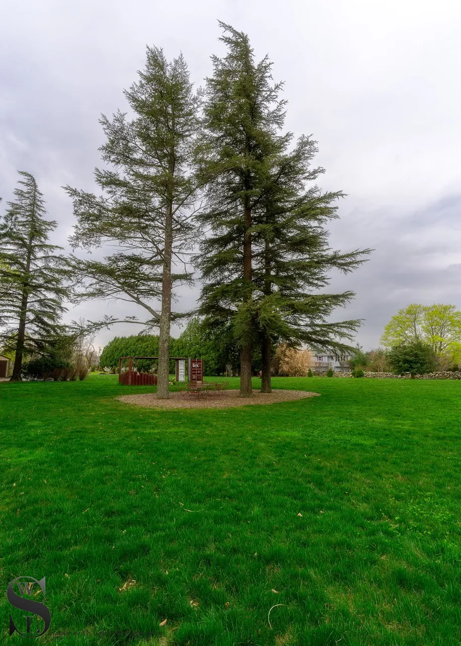 WW haskell Gardens-4.jpg