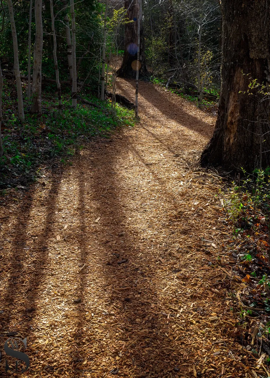 ww to the field-7.jpg
