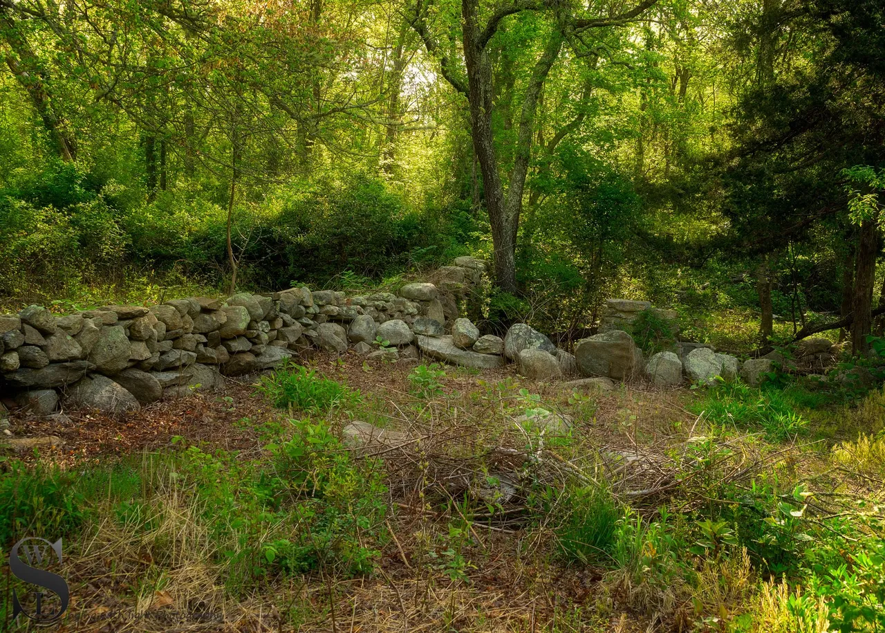 ww Knowles reserve-3.jpg