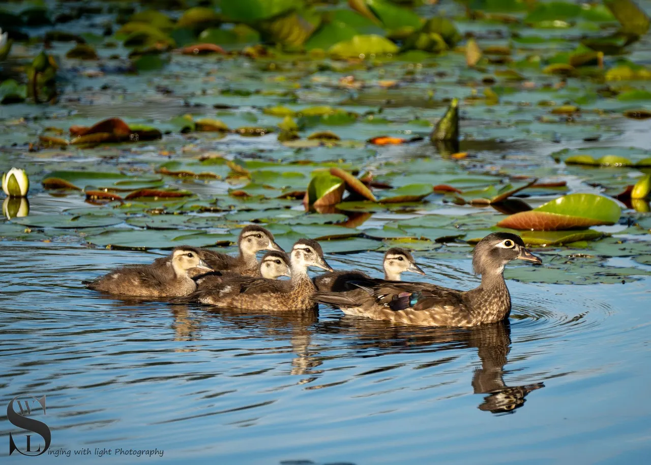 family time-4.jpg