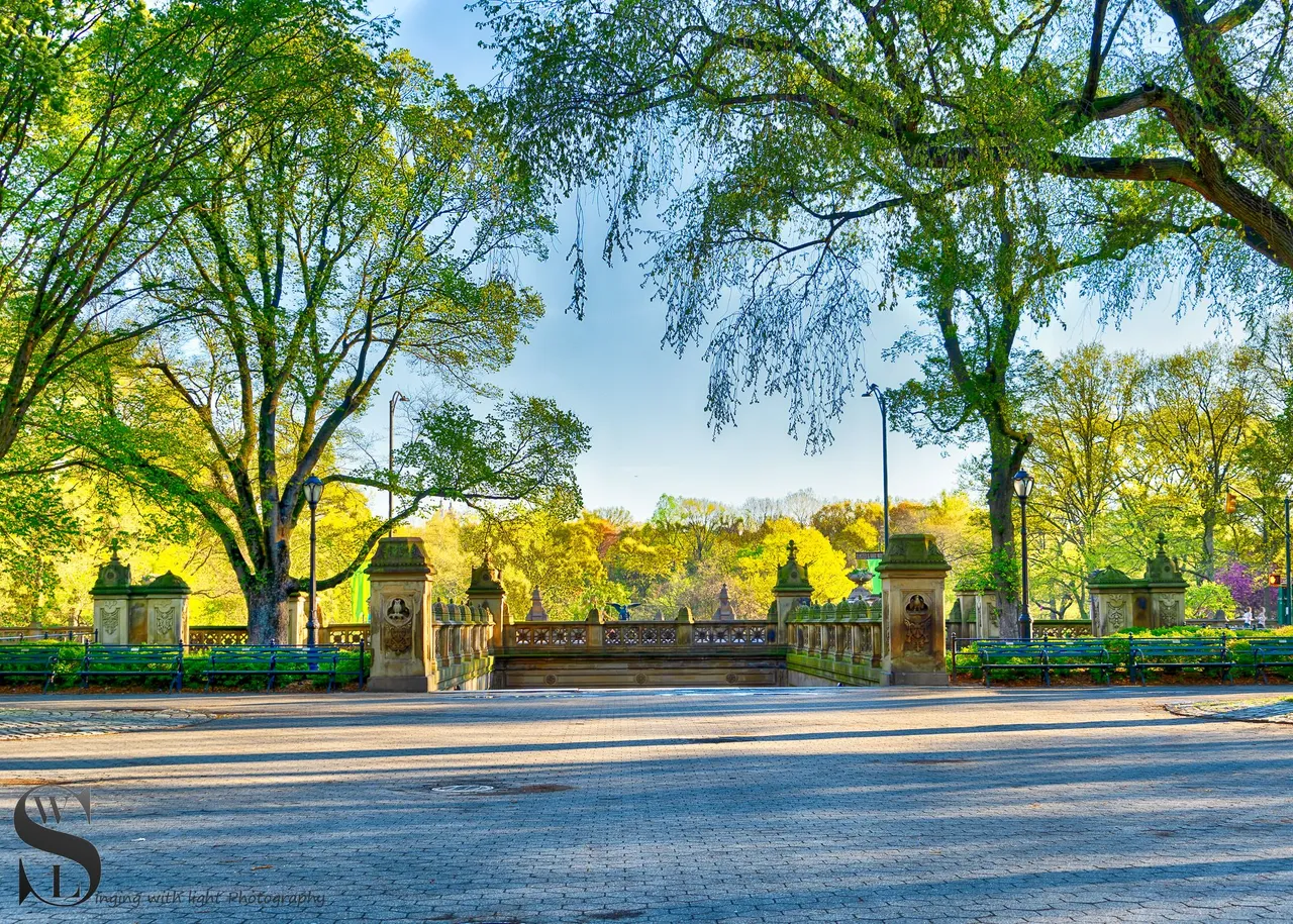 ww Central park-5.jpg