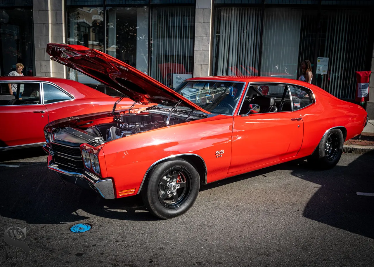 cars hoods up.jpg